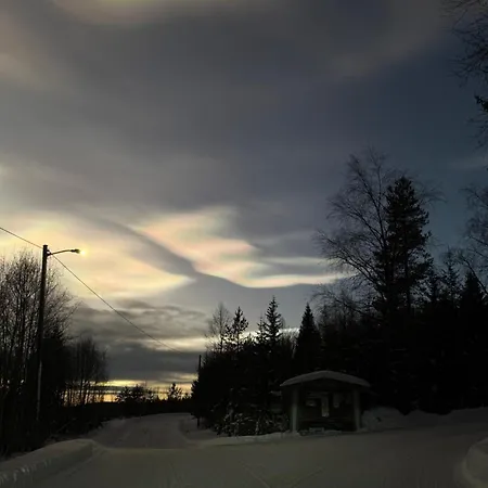 Peace In The Heart Of Nature Trysil